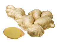 The ginger  herb increases perspiration improves digestion and liver function controls vomiting and coughing it stimulates circulation, relaxes spasms and...