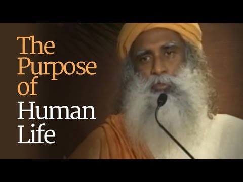 human